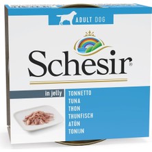 Hype Store Yetişkin Köpek Konservesi 150 gr Ton Balıklıi