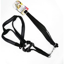 Hype Store Eurodog Köpek Uz.+Göğüs Tasması Siyah 20MMX120CM