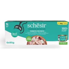 Hype Store Jelly Ton Balığı ve Çipura Jöle Içinde Yetişkin Kedi Konservesi 85G