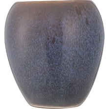 Hype Store Balsas Diş Fırçalık