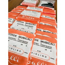 Gmc Music Store Galli G24 Keman La Tek Teli