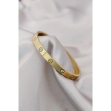 Clariss 316L Çelik Gold Renk Zirkon Taşlı Bileklik