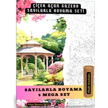 Enine Boyuna Eğitim Sayılarla Boyama Süper Seti (Çiçek Açan Gazebo)