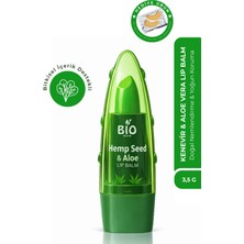 Bio Asia Kenevir & Aloe Vera Lip Balm – Doğal Nemlendirme ve Yoğun Koruma