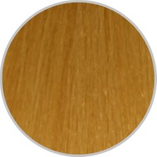 Hush The Passion Saç Boyası 60 ml | 11.3 Extra Platin Sarı Dore