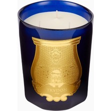 Trudon Reggio Intermède Lüks Narenciye Kokulu Mum