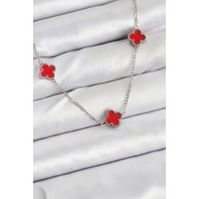 Zemira Home 316L Çelik Zincir Gümüş Renk Kırmızı Baby Boy Yonca Kadın Kolye