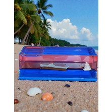 Ayder Online Satış Dikdörtgen Mika İçinde Titanik Figürlü Batmayan Mavi Su Akvaryum Şişe Şeklinde Batmayan Gemi