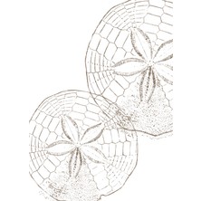 Fuart.Co Deniz Çiçeği Bej Dijital Baskı Poster (Çerçevesiz)Sea World Poster Serisi Sefu