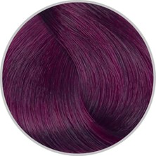 Inebrya Color Keten Tohumu Yağı ve Aloe Vera Içeren Saç Boyası 100 ml | 5.62 Light Chestnut Red Violet