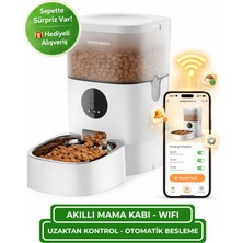 Greenwich Otomatik Mama Kabı | 4 L | Wıfı | Akıllı | Kedi Köpek