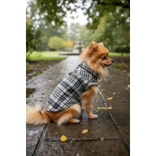 Empati Siyah Beyaz Kareli Oduncu Köpek Gömleği M (3-5 kg Arasına Uygun)