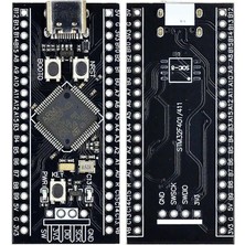 Voltaj STM32F401RCT6 Arm STM32 Geliştirme Kartı Type-C