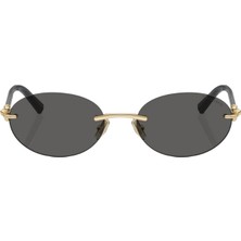 Tıffany & Co. 3104 6216/S4