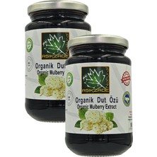 Aşıkzade Organik Dut Özü 370 ml 480G 2'li Set