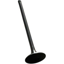 Tvs Raıder 125 Emme Subap N8011700 Orıjınal Ürün