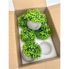 FB Cup 6'lı Gri Taş Görünümlü Polystone Saksılı Yapay Çiçek Seti - Dekoratif Masa Üstü Şimşir Topu