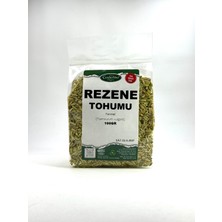 Rezene Tohumu 100GR