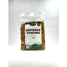 Süpürge Tohumu 100GR