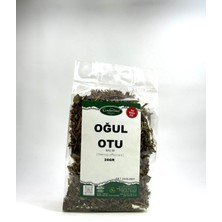 Oğul (Melissa) Otu 40GR