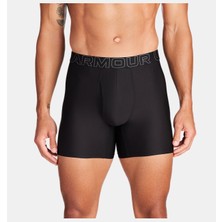 Under Armour Erkek UA Performance Tech Mesh Solid 6" 3'lü Boxer