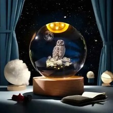 Homevia Dekoratif Baykuş Tasarımlı Işıklı Cam Küre