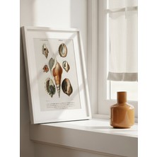 Fuart.Co Okyanus Mücevherleri Antik Deniz Serisi Dijital Baskı Duvar Posteri (Çerçevesiz) Adfu