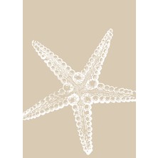Fuart.Co Sakin Yıldız Bej Dijital Baskı Poster (Çerçevesiz)Sea World Poster Serisi Sefu
