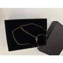 Pulinin Dükkanı Kararmayan Çelik Zincir Kolye