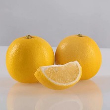 Ases 3 Yaş Tüplü ,meyve Veren ,tatlı (Şeker) Limon Fidanı Boy 130-150 cm