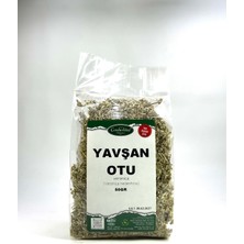 Yavşan (Peryavşan/acı Yavşan) Otu 50GR
