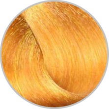 Inebrya Color Keten Tohumu Yağı ve Aloe Vera Içeren Saç Boyası 100 ml | Blue