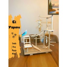 Ciko Kafes Masa Üstü Sade Kuş Papağan Oyun Alanı