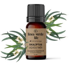 Linea Verde Life Okaliptus Uçucu Yağı %100 Saf ve Doğal