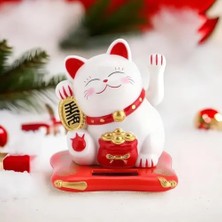 Homevia Bereket ve Uğur Getiren Şanslı Kedi