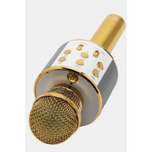 Gampus Eğlenceli Karaoke Mikrofon Bluetooth Hoparlör USB Sd Kart ve Aux Girişli Bt Hoparlörlü