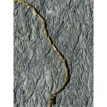 CAPO By Aytaç Yamaç Gold Arpa Çelik Erkek Kolye