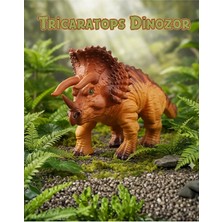 Craftivio Gerçekçi Triceratops Dinozor Figürü - Eğitici Oyuncak Hayvan Modeli (20 Cm)