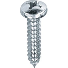 Voltaj Ysb Sac Vidası 2,9x6,5mm DIN7981 Beyaz