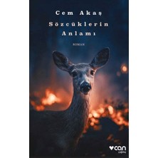 Aesco Sözcüklerin Anlamı