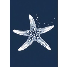 Fuart.Co Gece Yıldızı Dijital Baskı Poster (Çerçevesiz)Sea World Poster Serisi Sefu