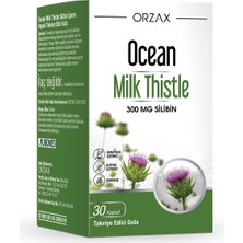 Ocean Milk Thistle 30 Tablet 300MG Silbin