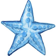 Fuart.Co Buz Mavisi Yıldız Dijital Baskı Poster (Çerçevesiz)Sea World Poster Serisi Sefu