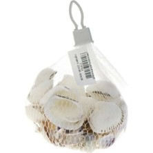 Elifiş Deniz Kabuğu Filede - 2 Paket