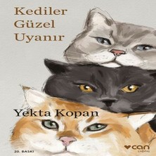 Aesco Kediler Güzel Uyanır