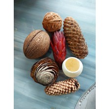 Lolipophobi Kurutulmuş Obje Set 2,dekor, Dekoratif, Hediye, Yılbaşı, Kapı Süsü, Ev Dekor, Masa Dekor