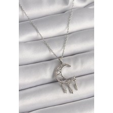 Inure Jewelry 316L Çelik Gümüş Renk Zincir Zirkon Taşlı Hilal Model Sallantı Yaprak Detay Kadın Kolye