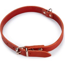 Braventa Collection Evcil Hayvan Boyun Tasması, 57 Cm, Kırmızı