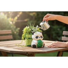 Kelebek Rüyası Sanat Atölyesi Dekoratif Panda Figürlü Kalemlik,fırçalık,saksı ( Yeşil)