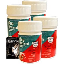 Eco Lounge Etkiliözel Bölge Tüylere Krem Valnut Milk & Walnut 4 Adet Rus Merhemi 50 ml Kadın + Yanında Jel - 000031KI